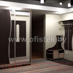 1415-1шкаф-купе 515$